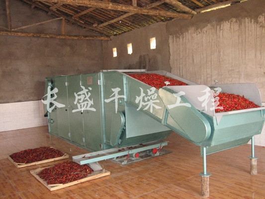 DWC系列脱水蔬菜带式干燥机