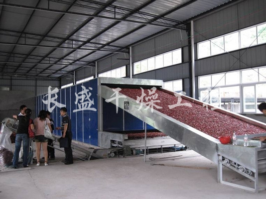 DWC系列脱水蔬菜带式干燥机