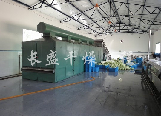 DWC系列脱水蔬菜带式干燥机
