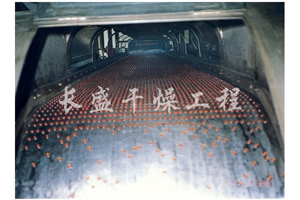 RL系列熔融造粒机